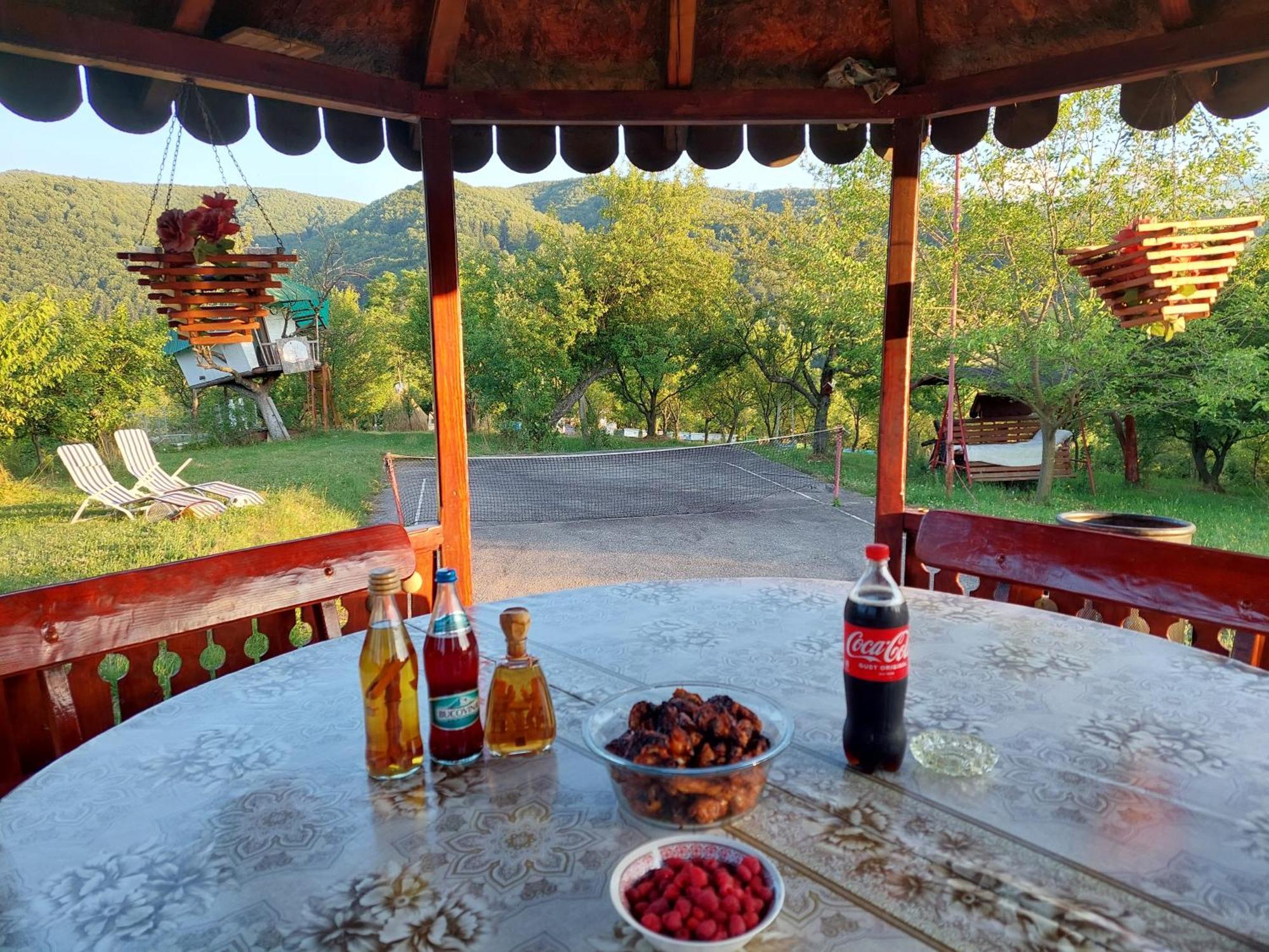 Cabana Cu Teren De Tenis -- Parter Banita Екстер'єр фото